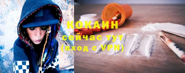 ECSTASY Белокуриха